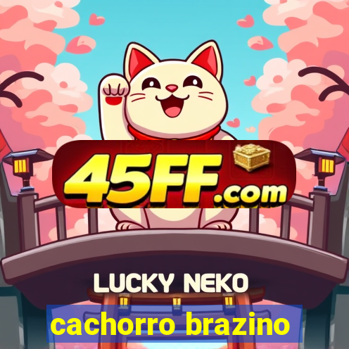 cachorro brazino